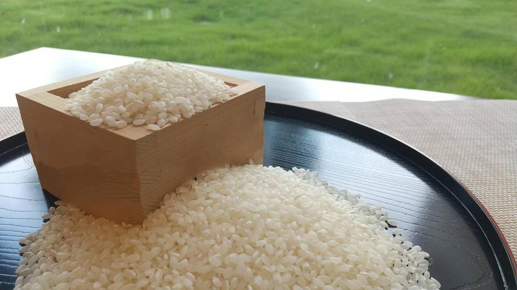 东横inn成田机场新馆 外观 照片